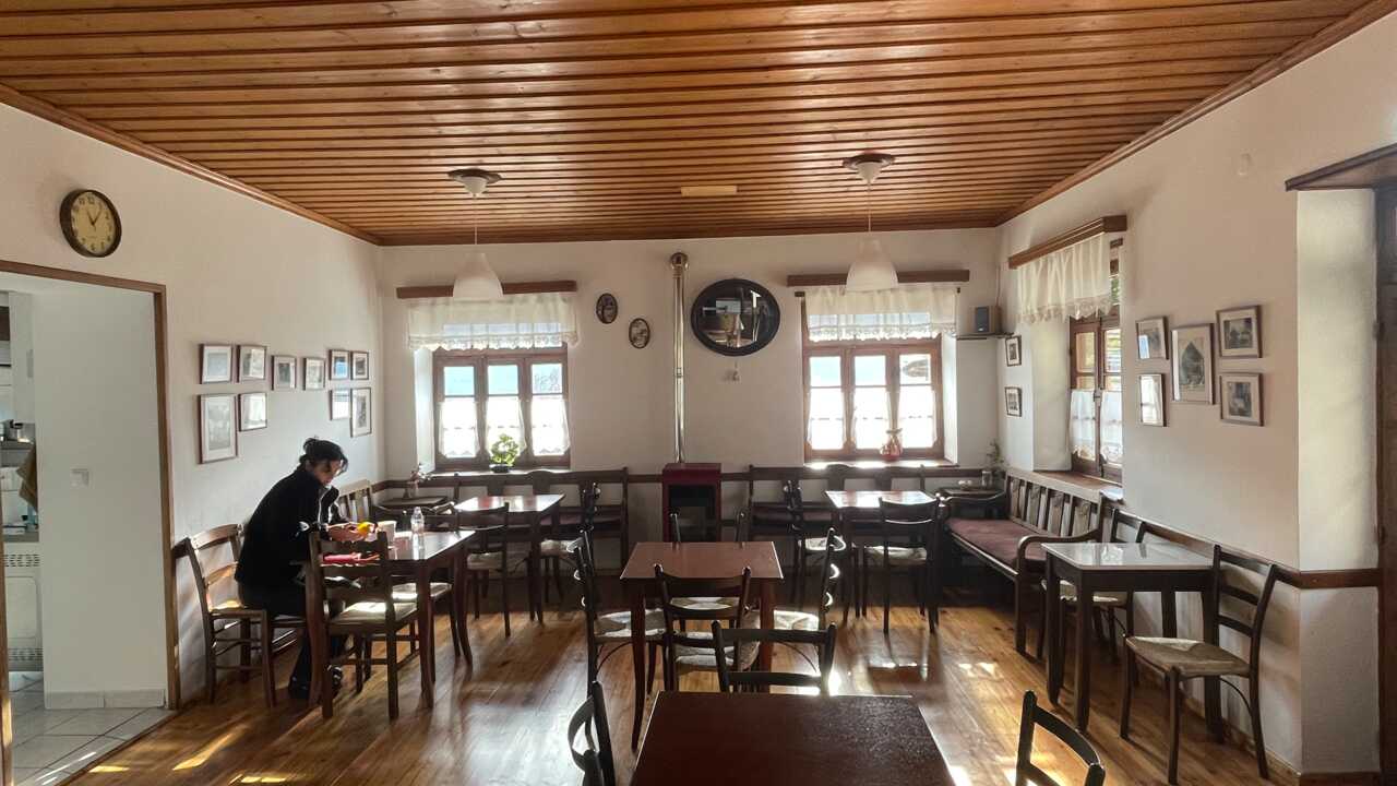 Η Κόκα Καρυά